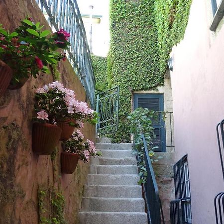 Casa Da Belavista Διαμέρισμα Πόρτο Εξωτερικό φωτογραφία